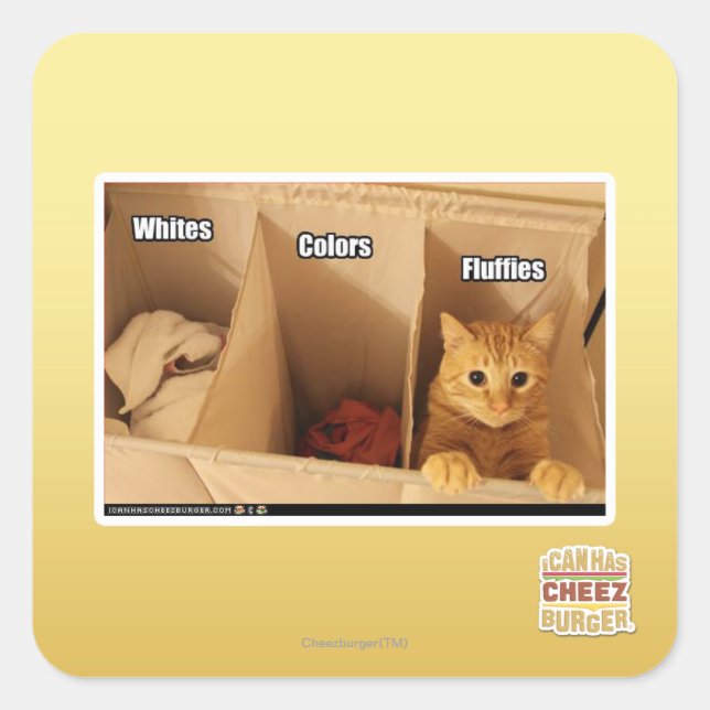 Sticker Carré Chat de blanchisserie (Devant)