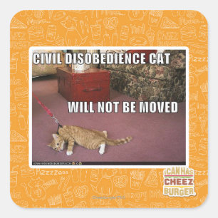 Sticker Carré Chat de désobéissance civile