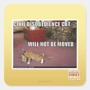 Sticker Carré Chat de désobéissance civile