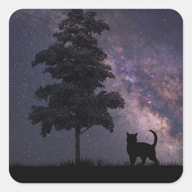 Sticker Carré Chat de nuit (Devant)