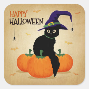 Sticker Carré Chat d'Halloween vintage et Citrouilles   Autocoll