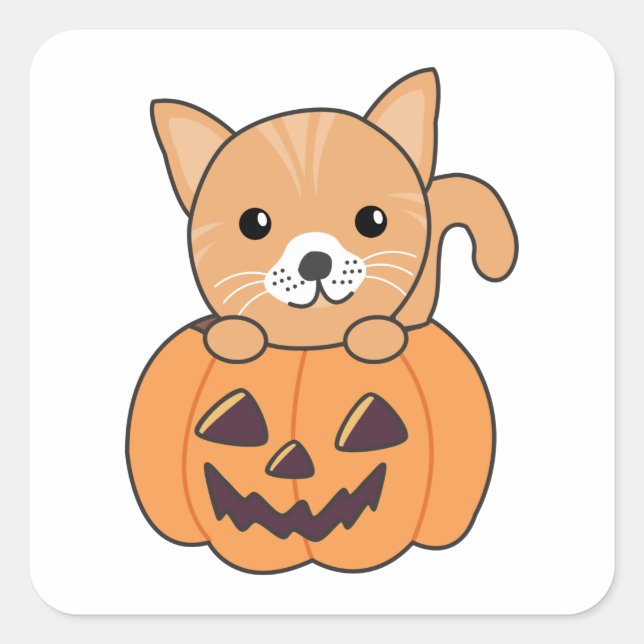 Sticker Carré Chat En Citrouille Chats Doux Joyeux Halloween Car (Devant)