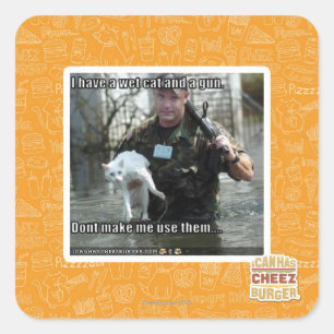 Sticker Carré Chat humide et pistolet