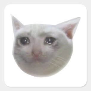 Sticker Carré Chat Mème Pleurant