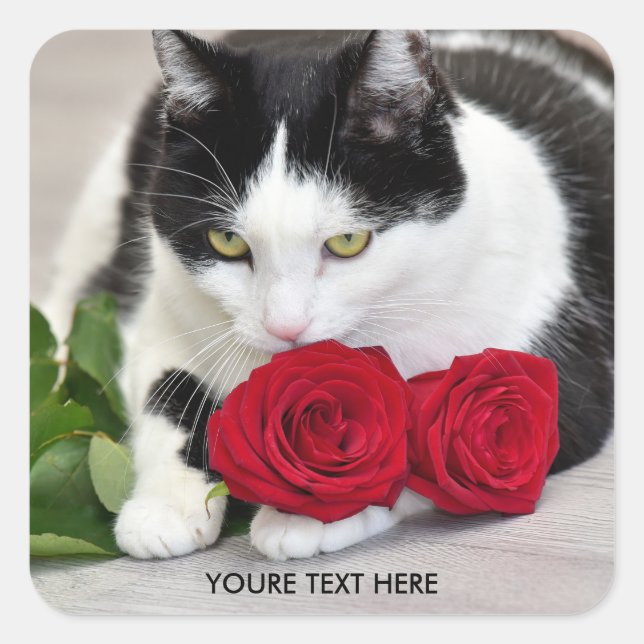 Sticker Carré Chat mignon avec le rose rouge (Devant)