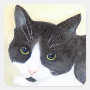 Sticker Carré Chat noir et blanc
