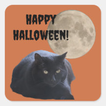 Chat noir Pleine lune Halloween