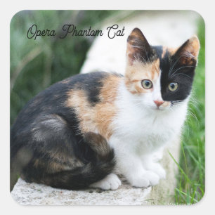 Sticker Carré Chat opéra fantôme