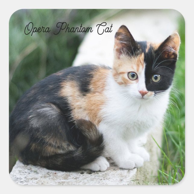 Sticker Carré Chat opéra fantôme (Devant)