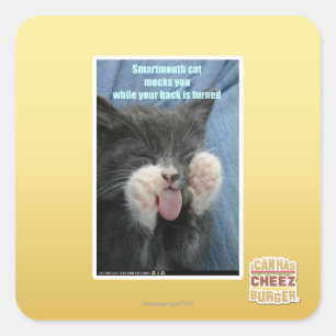 Sticker Carré Chat Smartmouth
