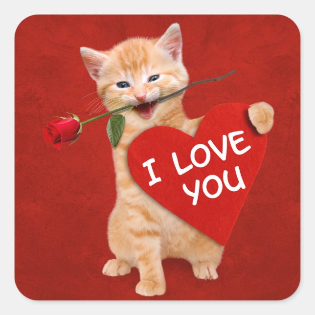 Sticker Carré Chat souriant amoureux (Devant)