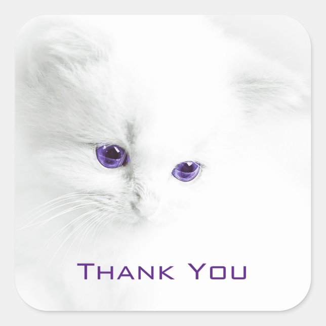 Sticker Carré Chaton blanc doux avec Merci aux yeux violets (Devant)