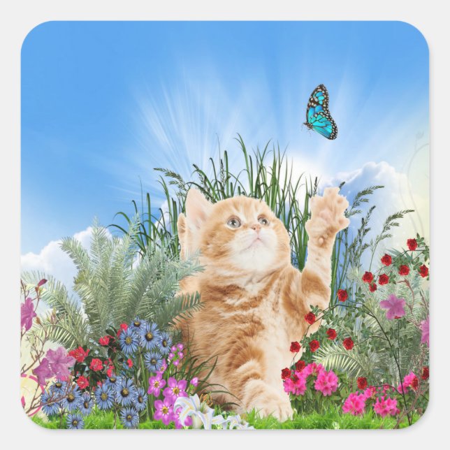 Sticker Carré Chaton gingembre jouant avec un papillon (Devant)