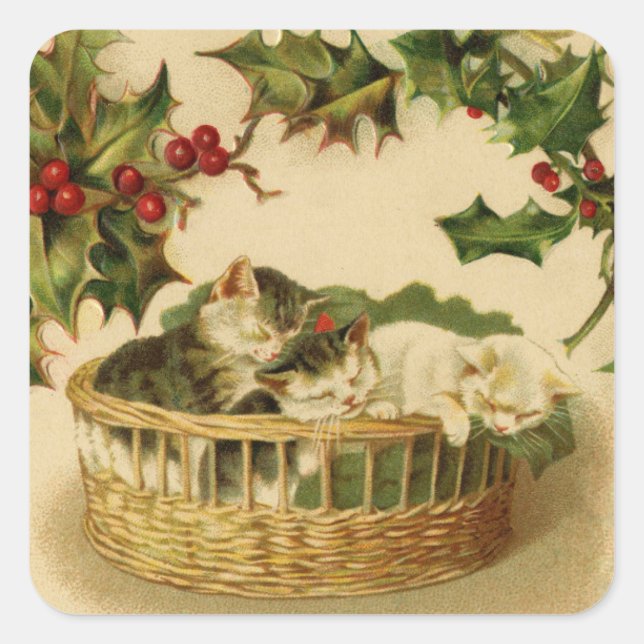 Sticker Carré Chatons de Noël et chevalier Holly (Devant)