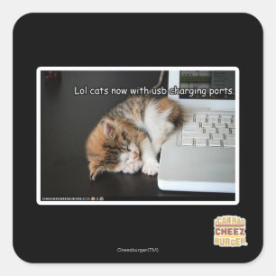 Sticker Carré Chats de Lol avec USB