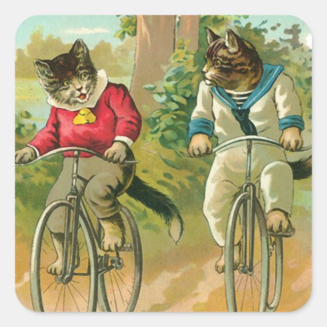 Sticker Carré Chats vintages à vélo (Devant)