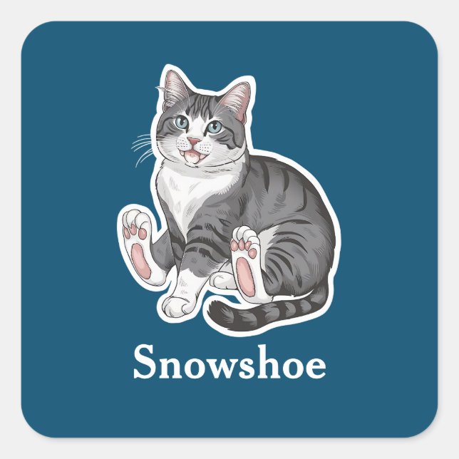 Sticker Carré Chaussure à neige (Devant)