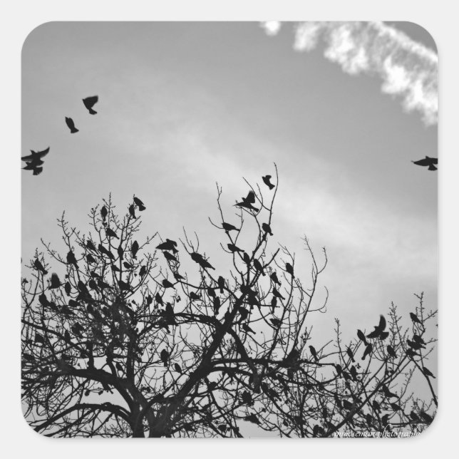 Sticker Carré Chemin de vol (Devant)