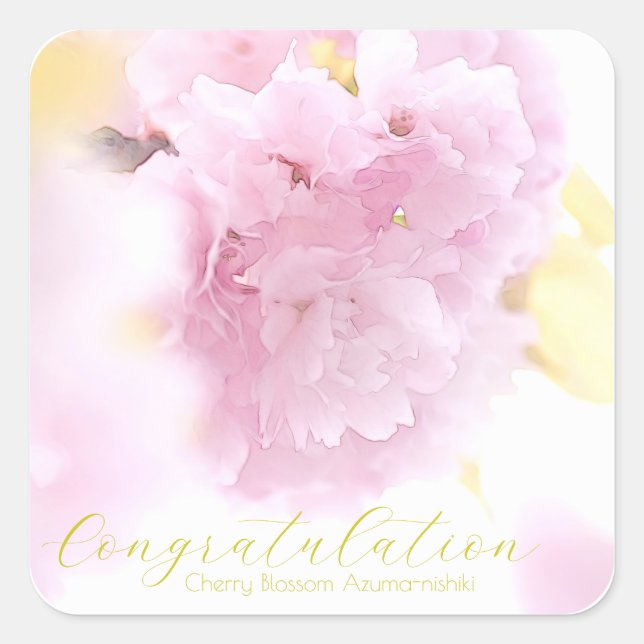 Sticker Carré Cherry Blossom "Azuma-nishiki" (Devant)