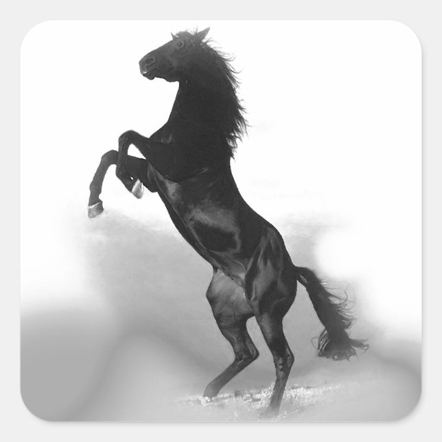 Sticker Carré Cheval (Devant)