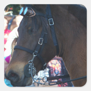 Sticker Carré Cheval arabe Brown foncé portant des lunettes