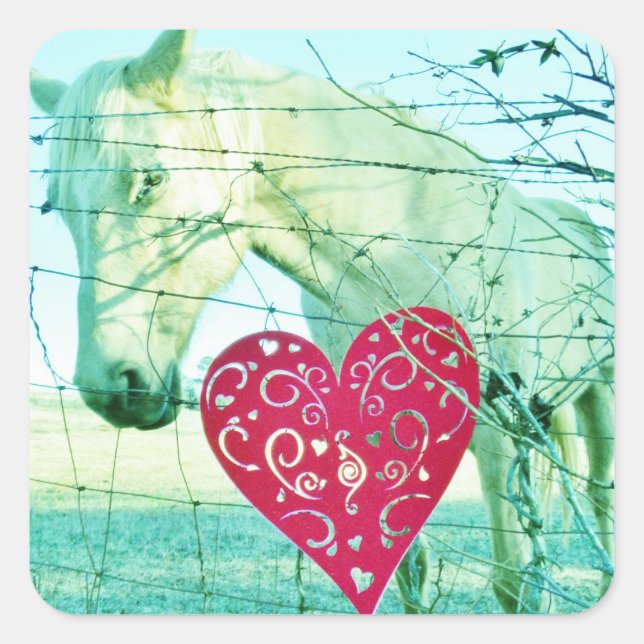 Sticker Carré Cheval Blanc Coeur Rouge Saint Valentin (Devant)