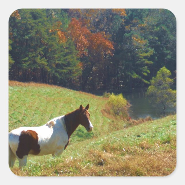 Sticker Carré Cheval blanc et Brown, étang d'automne (Devant)