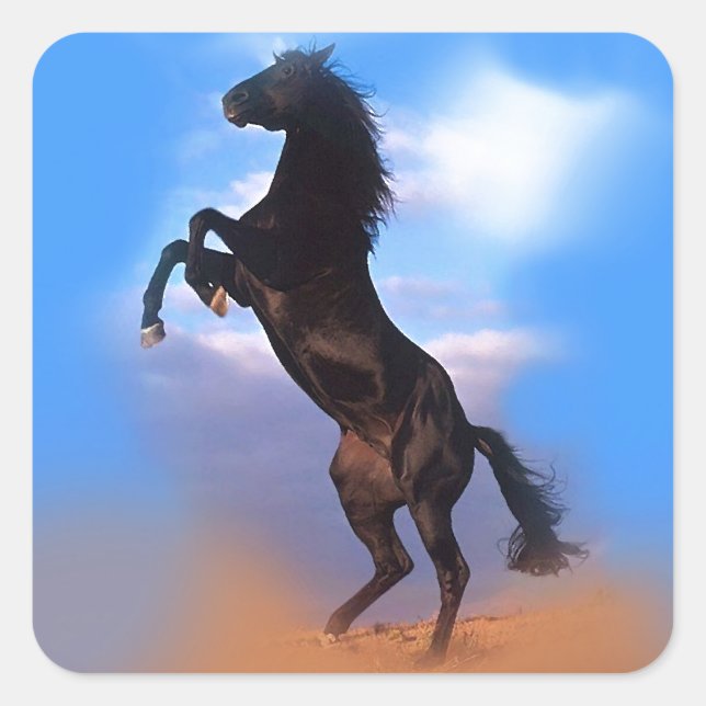 Sticker Carré Cheval d'élevage (Devant)