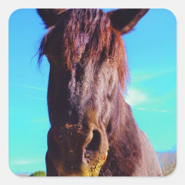 Sticker Carré Cheval pourpre avec Bouche verte (Devant)