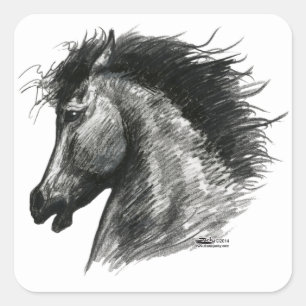 Sticker Carré Cheval Sauvage Fougueux