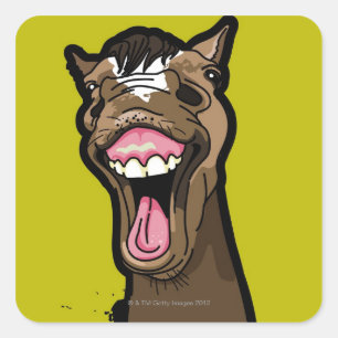 Sticker Carré Cheval souriant