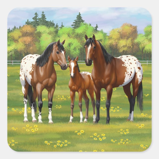 Sticker Carré Chevaux Appaloosa De Baie Brown En Pâturage D'Été (Devant)