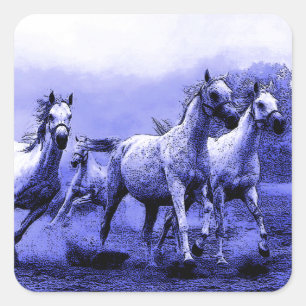 Sticker Carré Chevaux de course et Lune Bleue