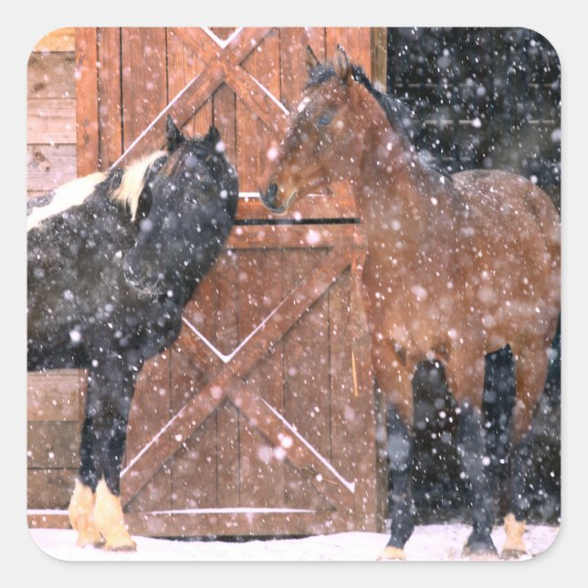 Sticker Carré Chevaux de neige d'hiver en grange (Devant)