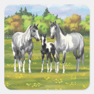 Sticker Carré Chevaux De Peinture Gris De Pâte De Poisson En Été