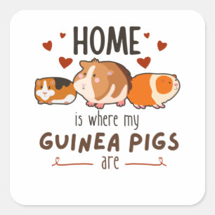 Sticker Carré Chez Moi C'Est Là Que Se Trouvent Mes Cochons De G