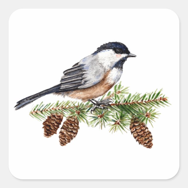 Sticker Carré Chickadee d'hiver (Devant)