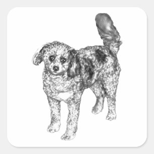 Sticker Carré Chien à fourrure douce partage une joie d'autocoll