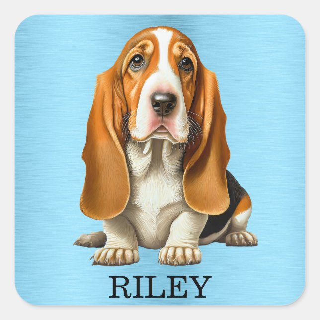 Sticker Carré Chien, Basset Hound Portrait Modèle (Devant)