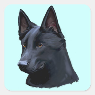 Sticker Carré Chien berger allemand noir