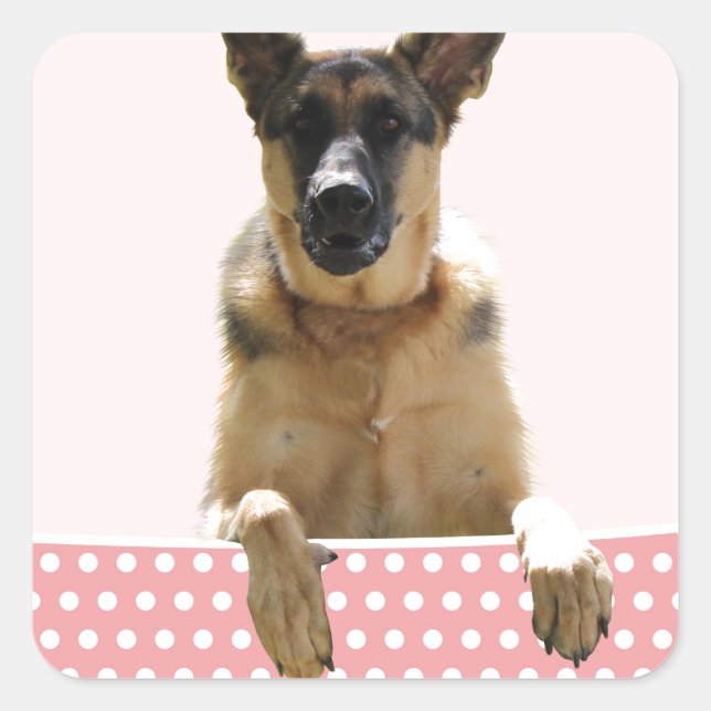 Sticker Carré Chien berger allemand Pois roses (Devant)