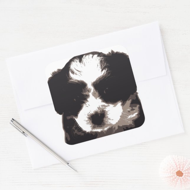 Sticker Carré Chien chiot maltais noir et blanc (Enveloppe)