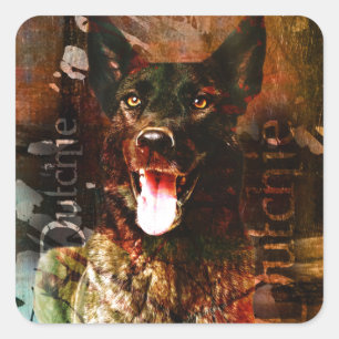 Sticker Carré Chien de berger Néerlandais-ContrastTankDutch -