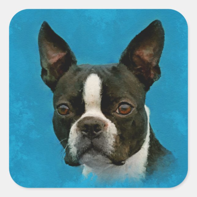 Sticker Carré Chien de Boston Terrier (Devant)