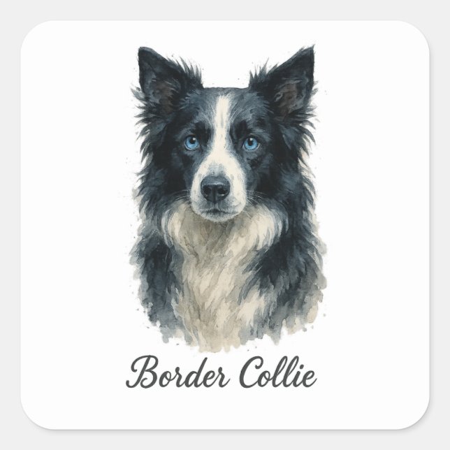 Sticker Carré Chien de Collie (Devant)