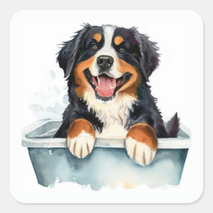 Sticker Carré Chien de montagne bernois