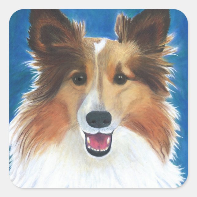 Sticker Carré Chien de mouton de Shetland (Devant)