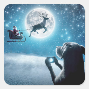 Sticker Carré Chien De Noël Photographiant Le Père Noël À Sleigh