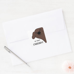 Sticker Carré Chien de Terre-Neuve Brun Est-ce ce fromage