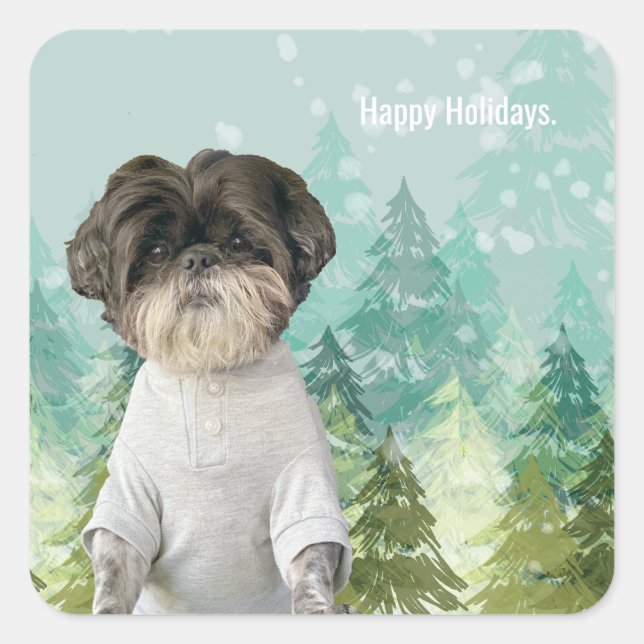 STICKER CARRÉ CHIEN DE VACANCES ANIMAL SHIHTZU PHOTO PERSONNALIS (Devant)
